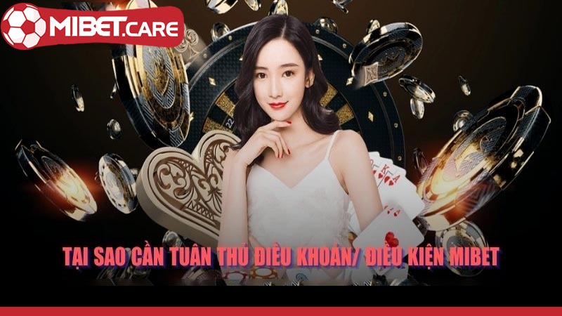 Điều khoản và điều kiện tại Mibet